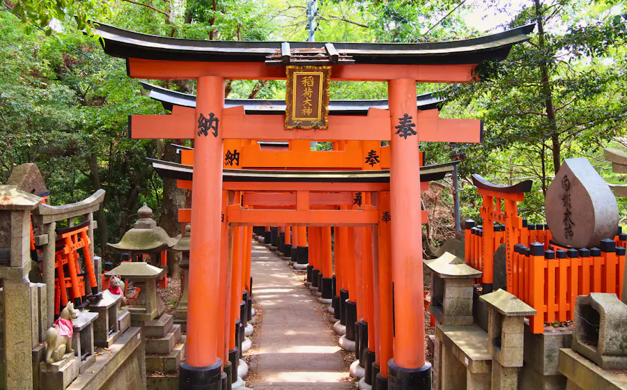 Rows of orange torii gates on a forest path in Kyoto